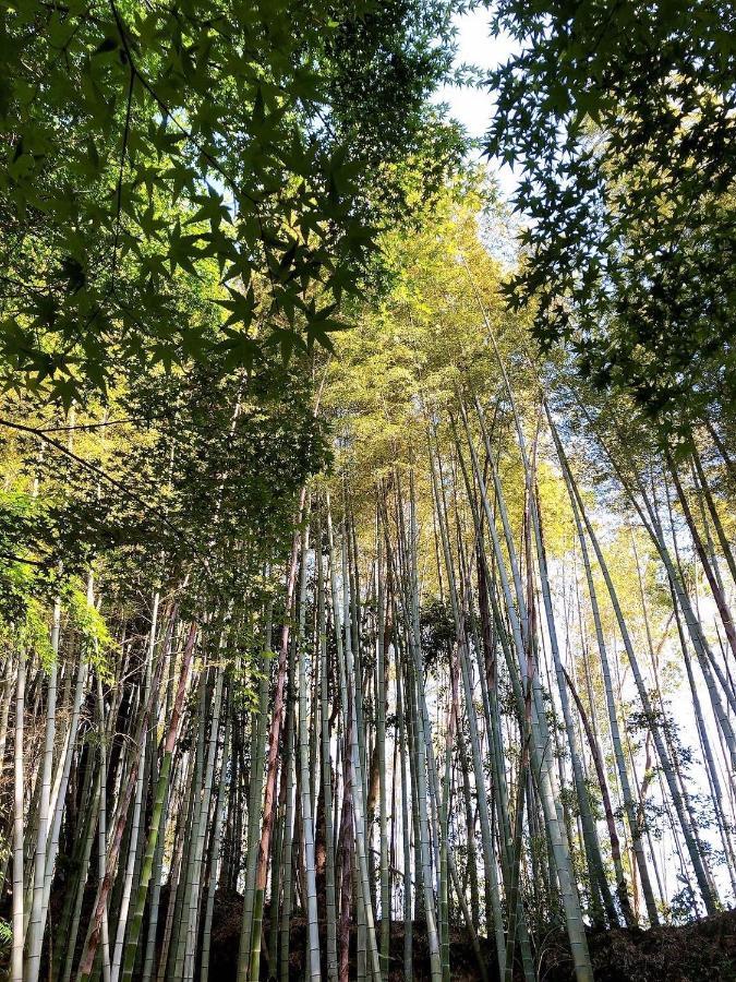 Bamboo Resort Mihama　繋 Mihama  Dış mekan fotoğraf